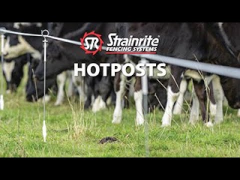 Strainrite Hotpost Dura-Top Tangle Free Post (bundle 5) (FPG00200)
